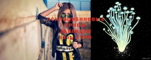гидра Богородицк