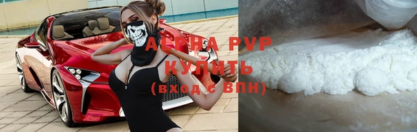 гидра Богородицк