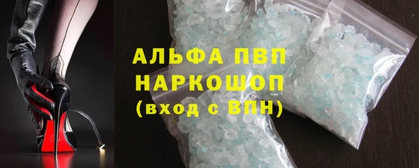 гидра Богородицк
