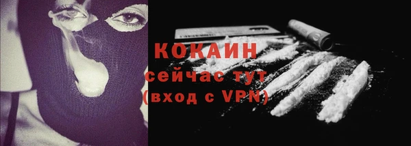 твердый Бронницы