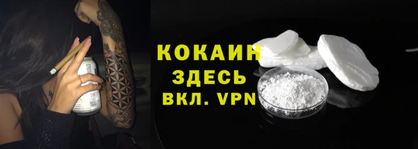 твердый Бронницы