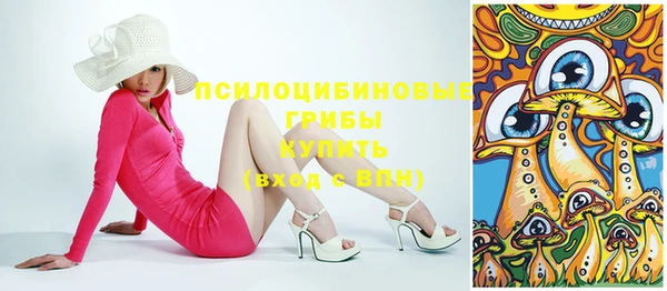 не бодяженный Бородино