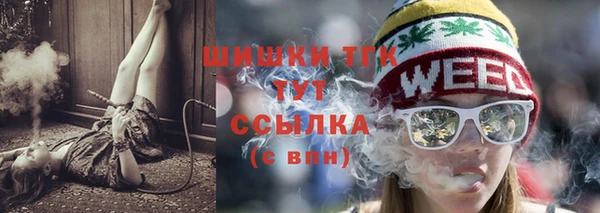 гидра Богородицк