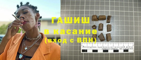 гидра Богородицк