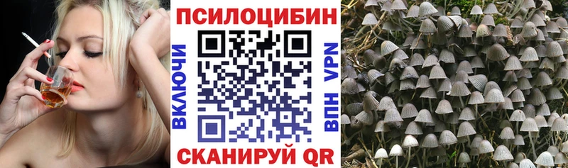 купить наркотик  Верея  Псилоцибиновые грибы прущие грибы 